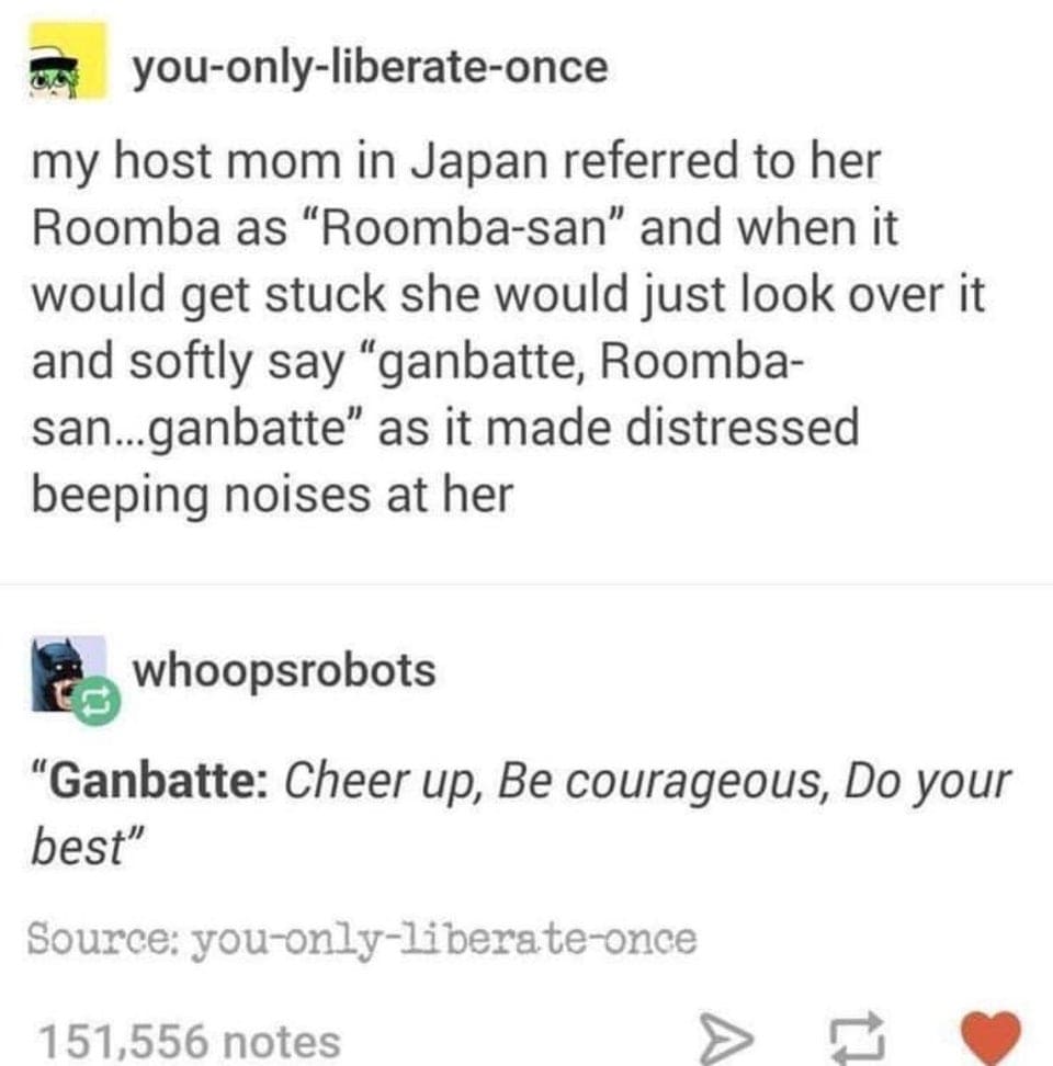 Ganbatte roomba-san